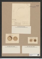 Hyalodiscus ? nerguolensis Grun. (de-Toni-Nr.: Genus 219) Zeichnungen Sammlung Grunow Nr. 9453 (NHMW-BOT-W0379314)